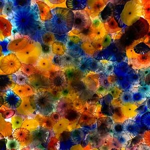 Meet your Posher, Corri